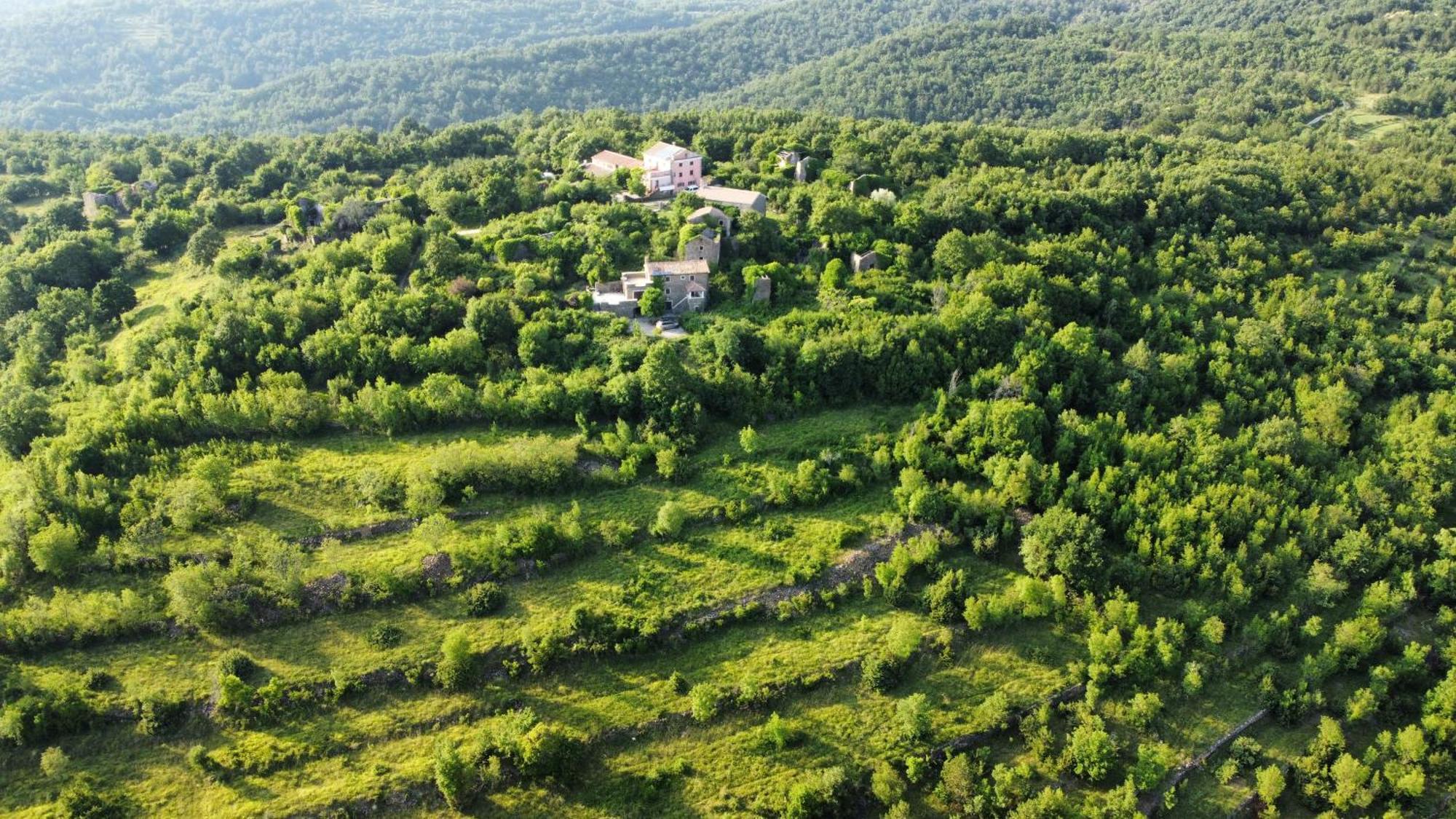 Casa Del Conte - Peaceful Hideaway In North Istria Grožnjan Exterior foto