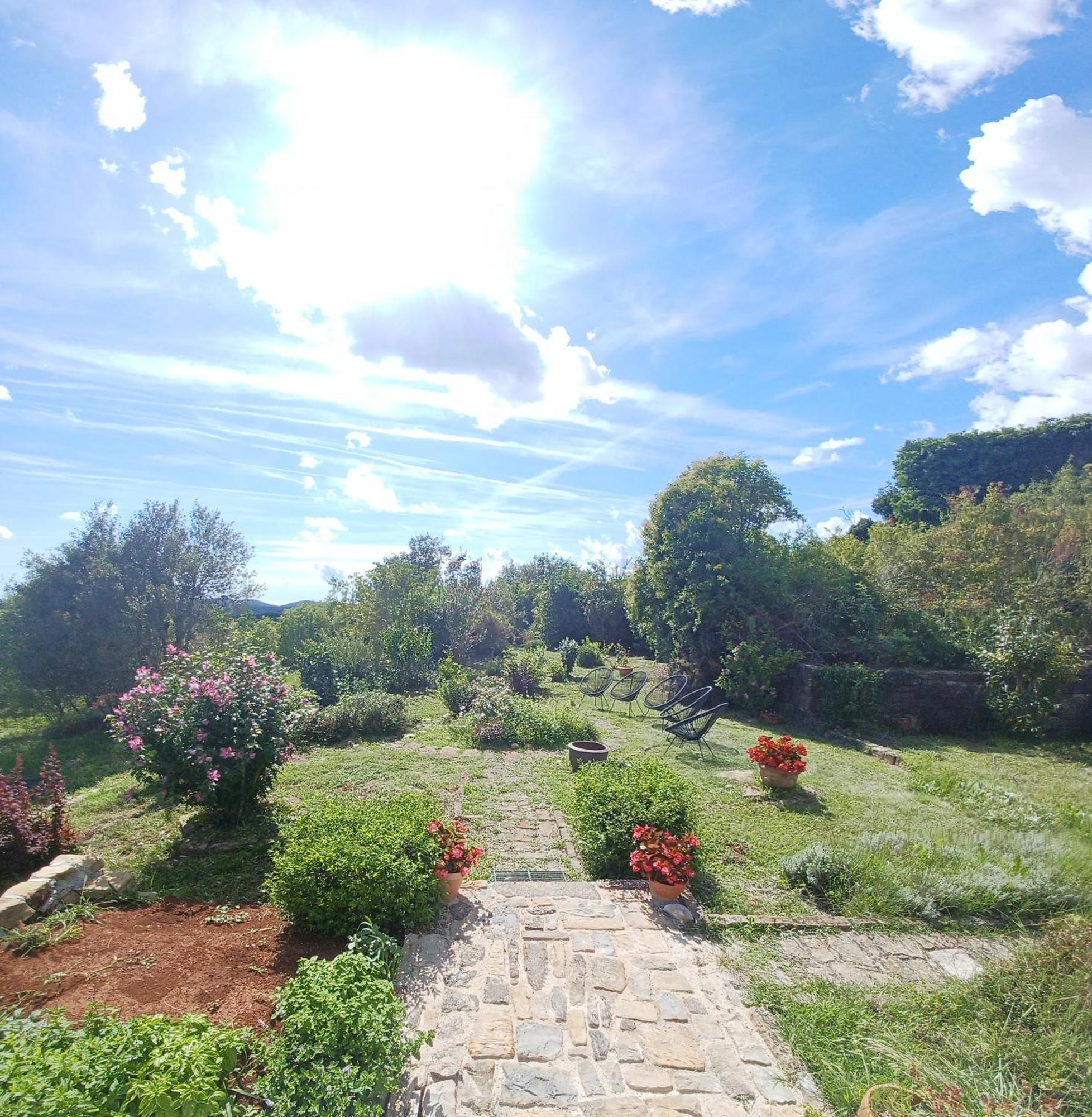 Casa Del Conte - Peaceful Hideaway In North Istria Grožnjan Exterior foto